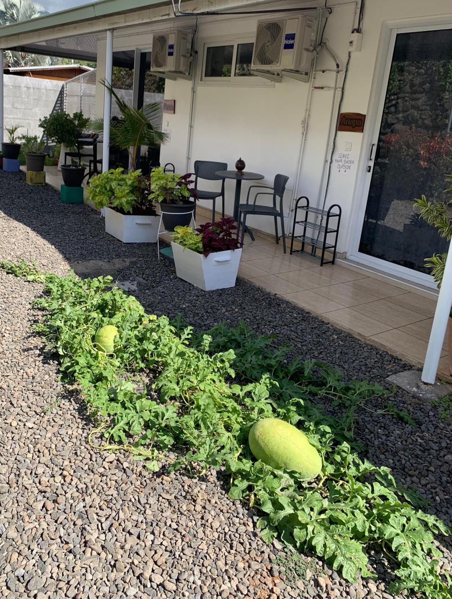 A Tomo Mai Homestay, Close To Airport, Private Bathroom Free Parking And Wifi With High Connection And Breakfast Optional Faaa Eksteriør bilde